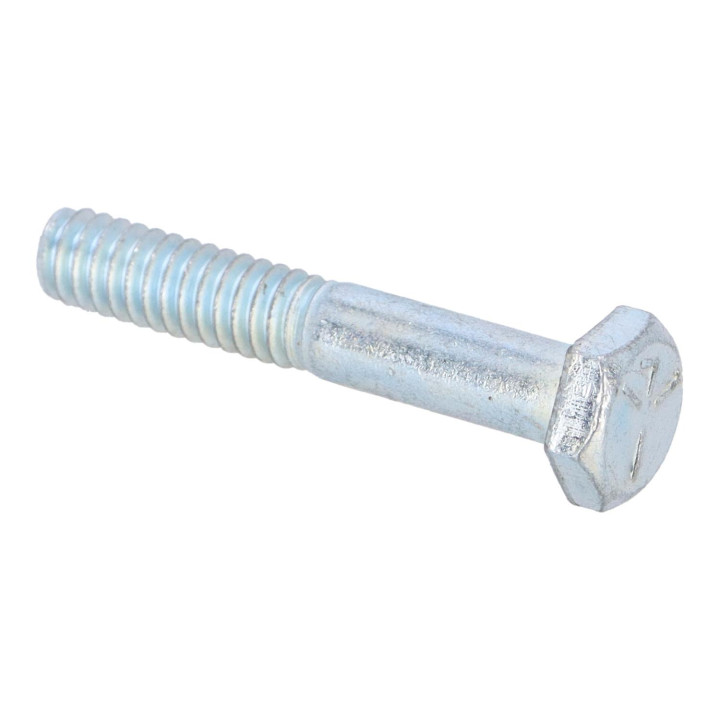 Hexagon screw Volvo (955515)