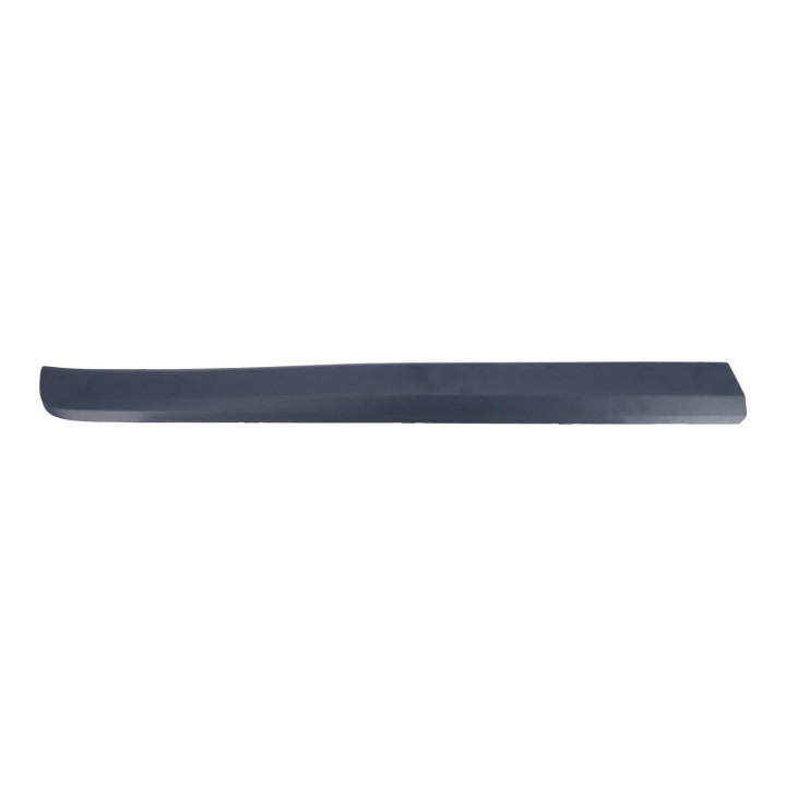 Trim moulding Volvo (39822152)