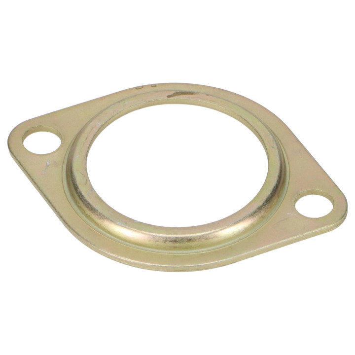 Gasket Volvo (30815456)