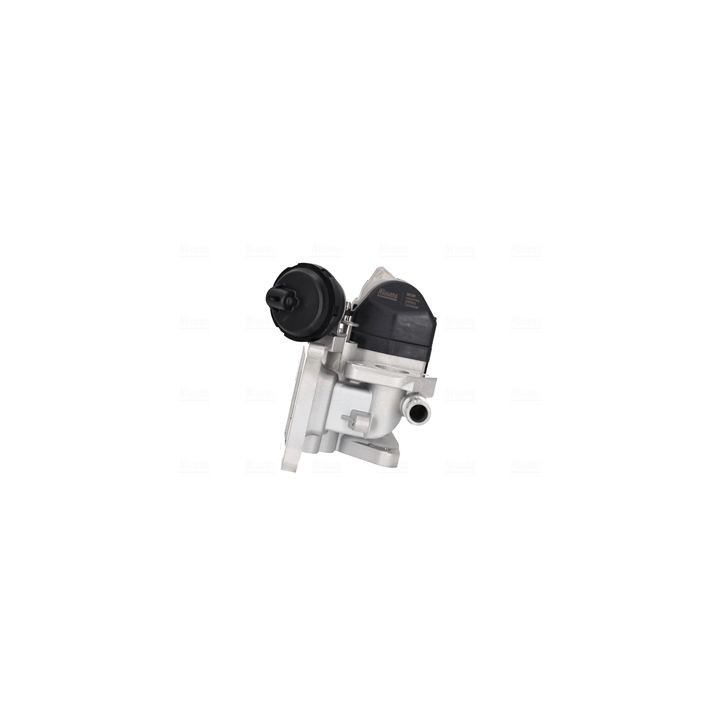 Zawór spalin EGR NISSENS 98381