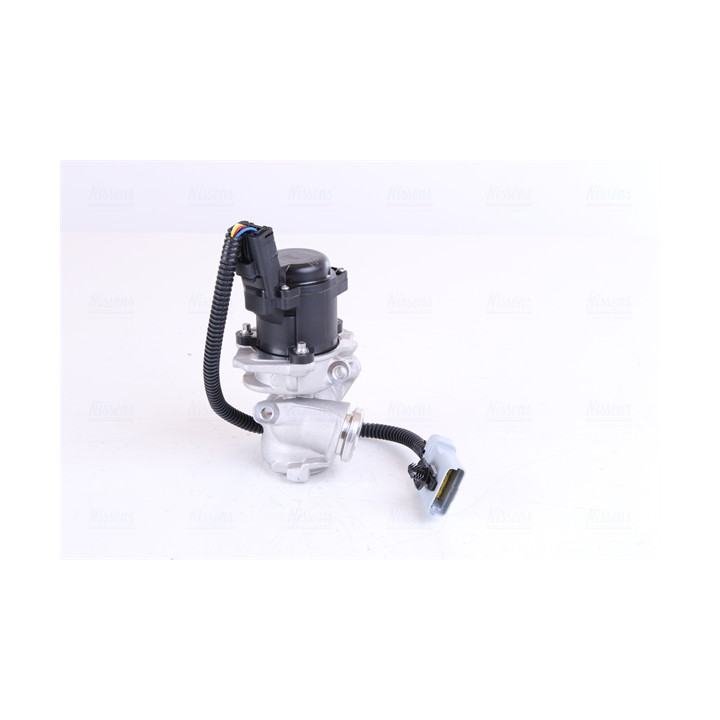 Zawór spalin EGR NISSENS 98244