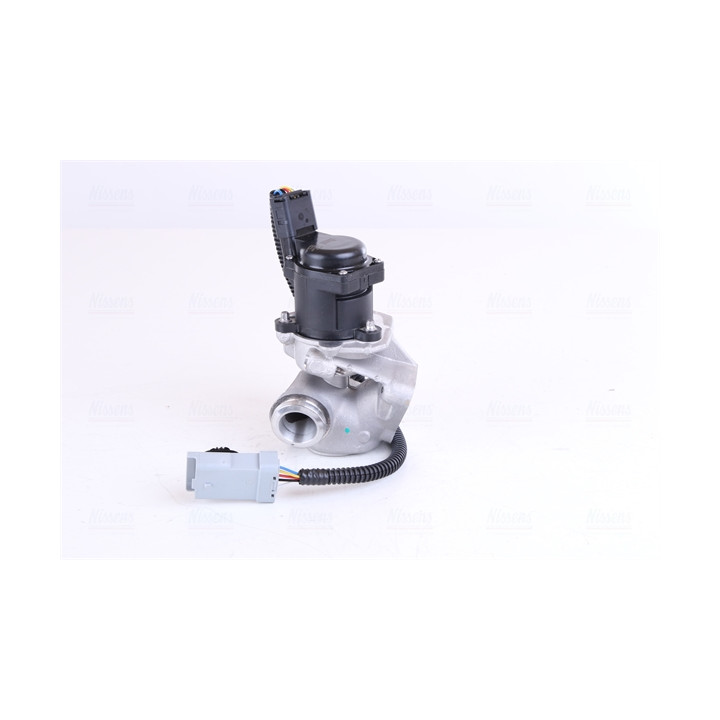 Zawór spalin EGR NISSENS 98244