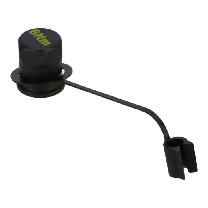 Valve cap Volvo (9166182)