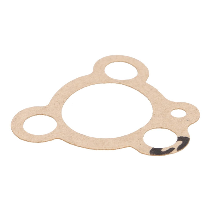 Gasket Volvo (71689)
