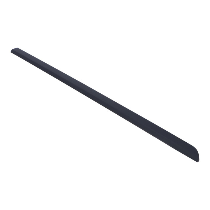 Trim moulding Volvo (8620164)