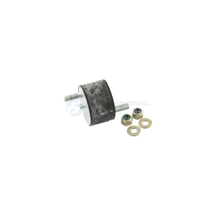 Poduszka silnika Professional Parts 62434110