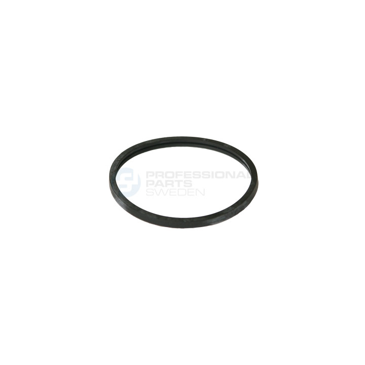 Uszczelka termostatu Professional Parts 21438375