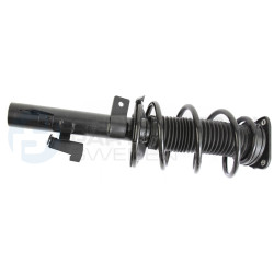 Zestaw zawieszenia sprężyna i amortyzator Professional Parts 72433608C
