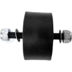 Poduszka silnika Professional Parts 62433946