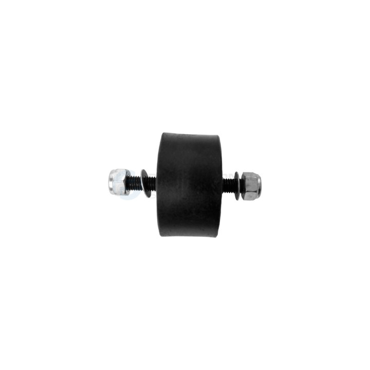 Poduszka silnika Professional Parts 62433946