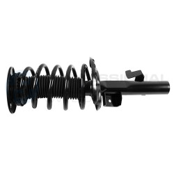 Zestaw zawieszenia sprężyna i amortyzator Professional Parts 72432172C