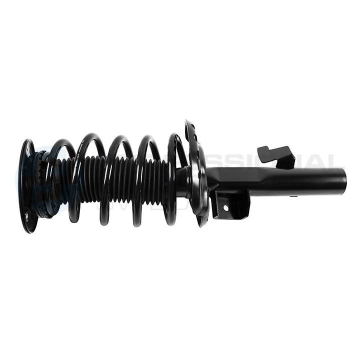 Zestaw zawieszenia sprężyna i amortyzator Professional Parts 72432172C