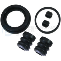 Zestaw naprawczy zacisku hamulcowego Professional Parts 51434369