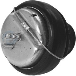 Poduszka silnika Professional Parts 62434254