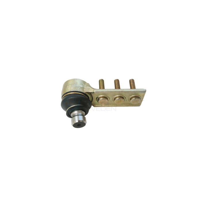 Sworzeń wahacza Professional Parts 61430390