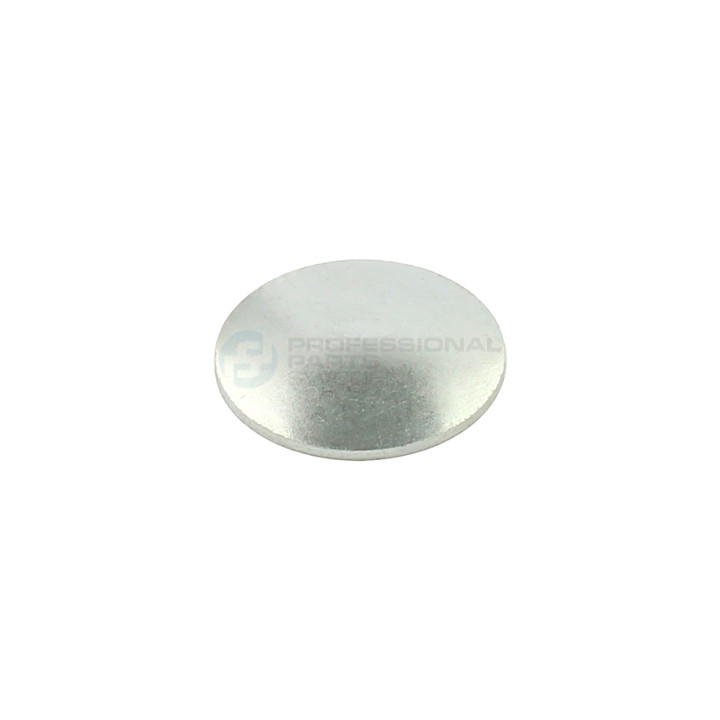 Brok zaślepka wałka rozrządu Professional Parts 21433904