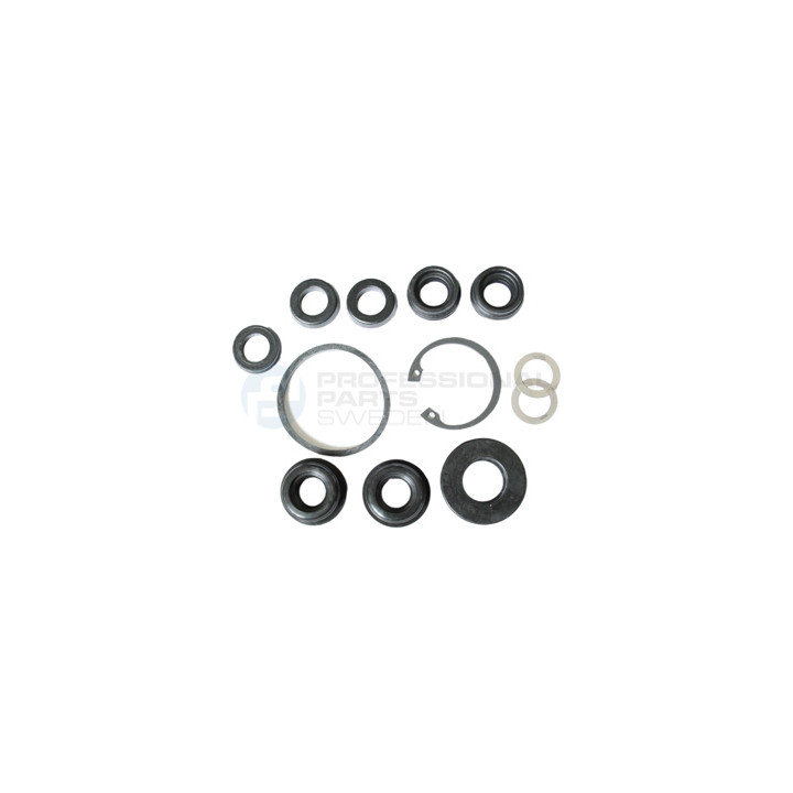 Zestaw naprawczy pompy hamulcowej Professional Parts 52433127