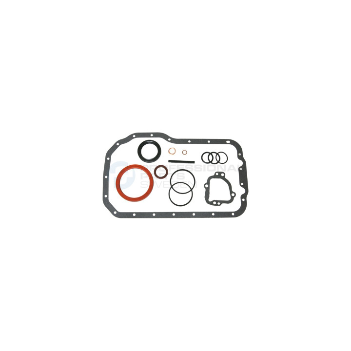 Zestaw uszczelek skrzyni korbowej Professional Parts 21431611