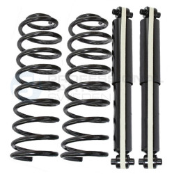 Zestaw zawieszenia sprężyna i amortyzator Professional Parts 72439501C