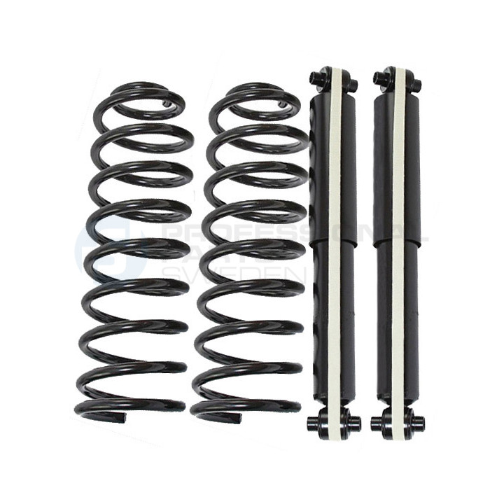 Zestaw zawieszenia sprężyna i amortyzator Professional Parts 72439501C