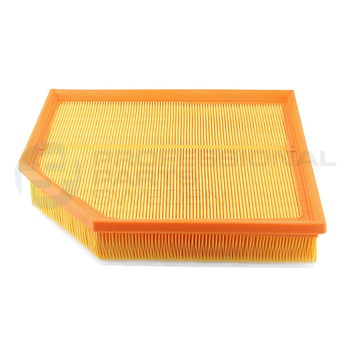 Filtr powietrza Professional Parts 24430089