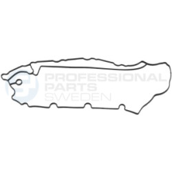 Uszczelka pokrywy głowicy cylindrów Professional Parts 21431243