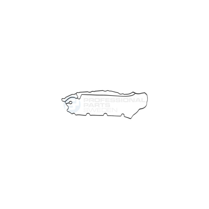 Uszczelka pokrywy głowicy cylindrów Professional Parts 21431243