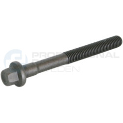 Śruba głowicy cylindrów Professional Parts 21436341