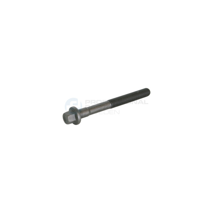 Śruba głowicy cylindrów Professional Parts 21436341