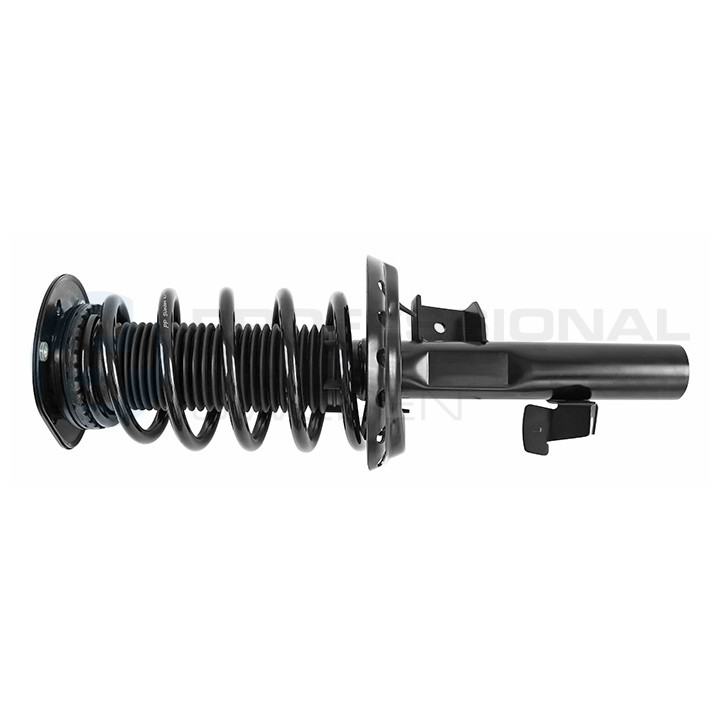 Zestaw zawieszenia sprężyna i amortyzator Professional Parts 72430248C