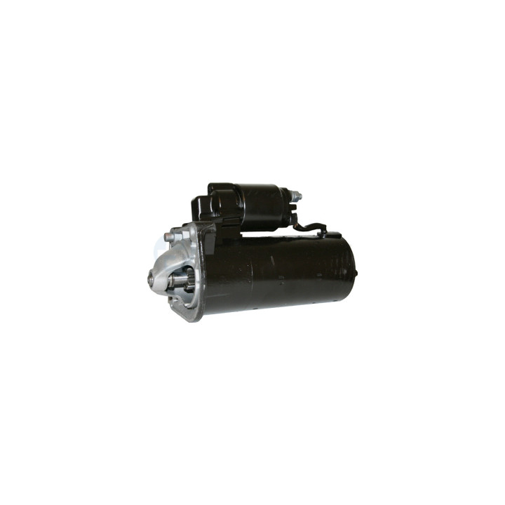 Rozrusznik Professional Parts 28432200