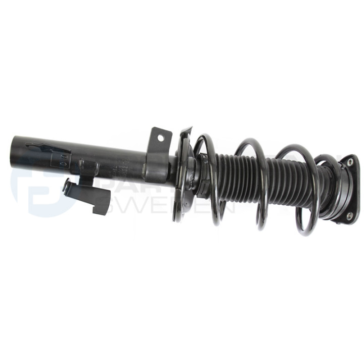 Zestaw zawieszenia sprężyna i amortyzator Professional Parts 72433609C