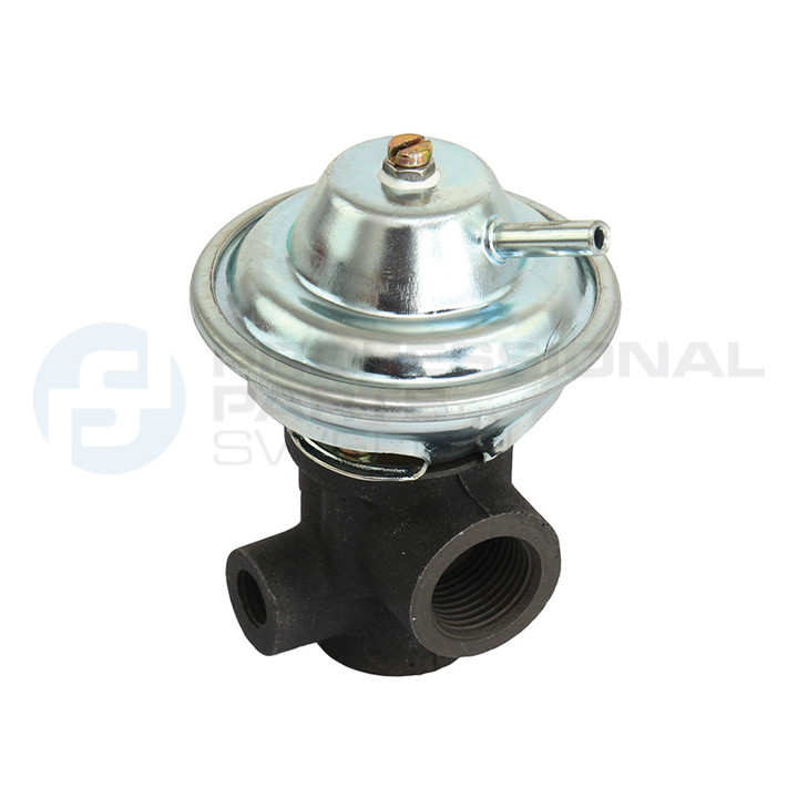 Zawór spalin EGR Professional Parts 87432725