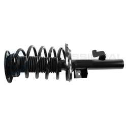 Zestaw zawieszenia sprężyna i amortyzator Professional Parts 72432509C