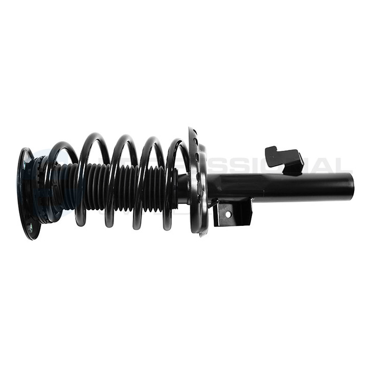 Zestaw zawieszenia sprężyna i amortyzator Professional Parts 72432509C