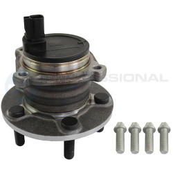 Piasta koła Professional Parts 77432571