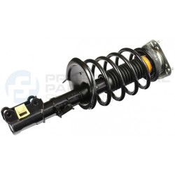 Zestaw zawieszenia sprężyna i amortyzator Professional Parts 72434377C