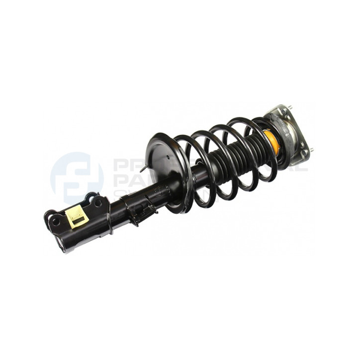 Zestaw zawieszenia sprężyna i amortyzator Professional Parts 72434377C