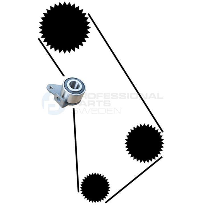 Zestaw paska rozrządu Professional Parts 21430003