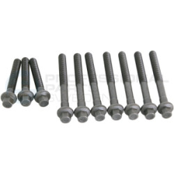 Śruba głowicy cylindrów Professional Parts 21437761