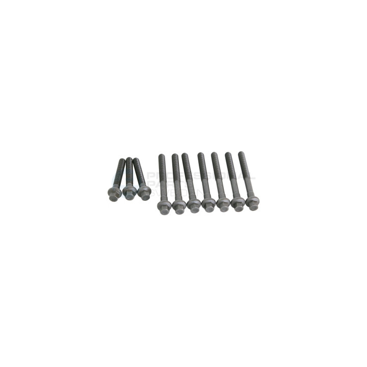 Śruba głowicy cylindrów Professional Parts 21437761