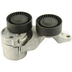 Napinacz paska klinowego wielorowkowego Professional Parts 21431251