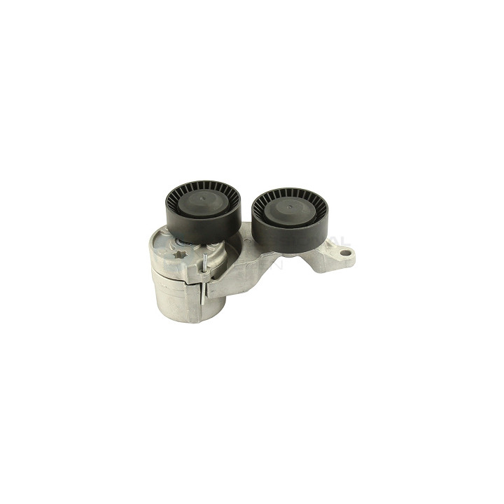 Napinacz paska klinowego wielorowkowego Professional Parts 21431251