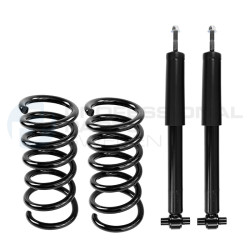 Zestaw zawieszenia sprężyna i amortyzator Professional Parts 72439513C