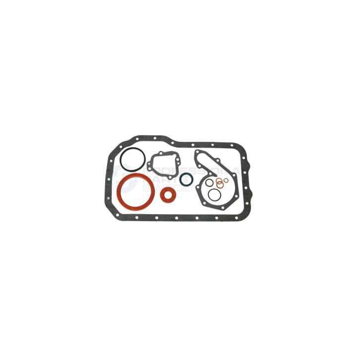 Zestaw uszczelek skrzyni korbowej Professional Parts 21432365