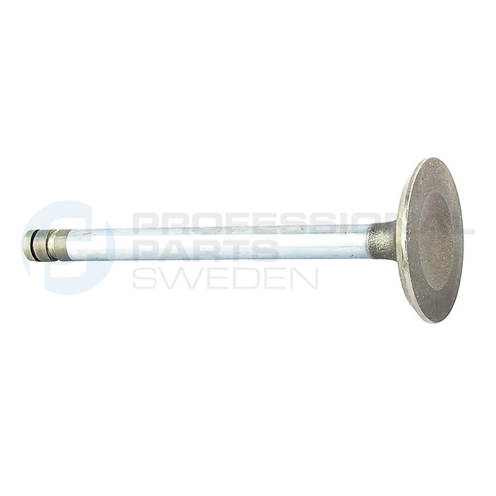 Zawór dolotowy Professional Parts 23434570