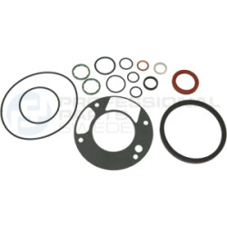 Zestaw uszczelek skrzyni korbowej Professional Parts 21431610