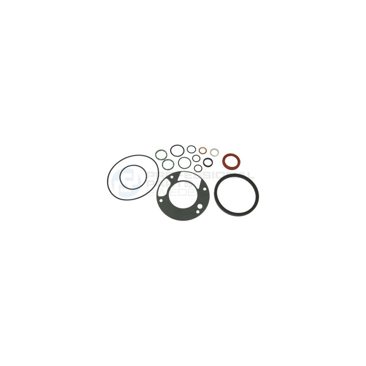 Zestaw uszczelek skrzyni korbowej Professional Parts 21431610
