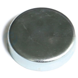 Brok zaślepka wałka rozrządu Professional Parts 21431239