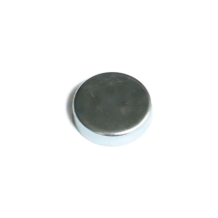 Brok zaślepka wałka rozrządu Professional Parts 21431239